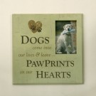 "Dogs Come into Our Lives..."  Pet Photo Frame